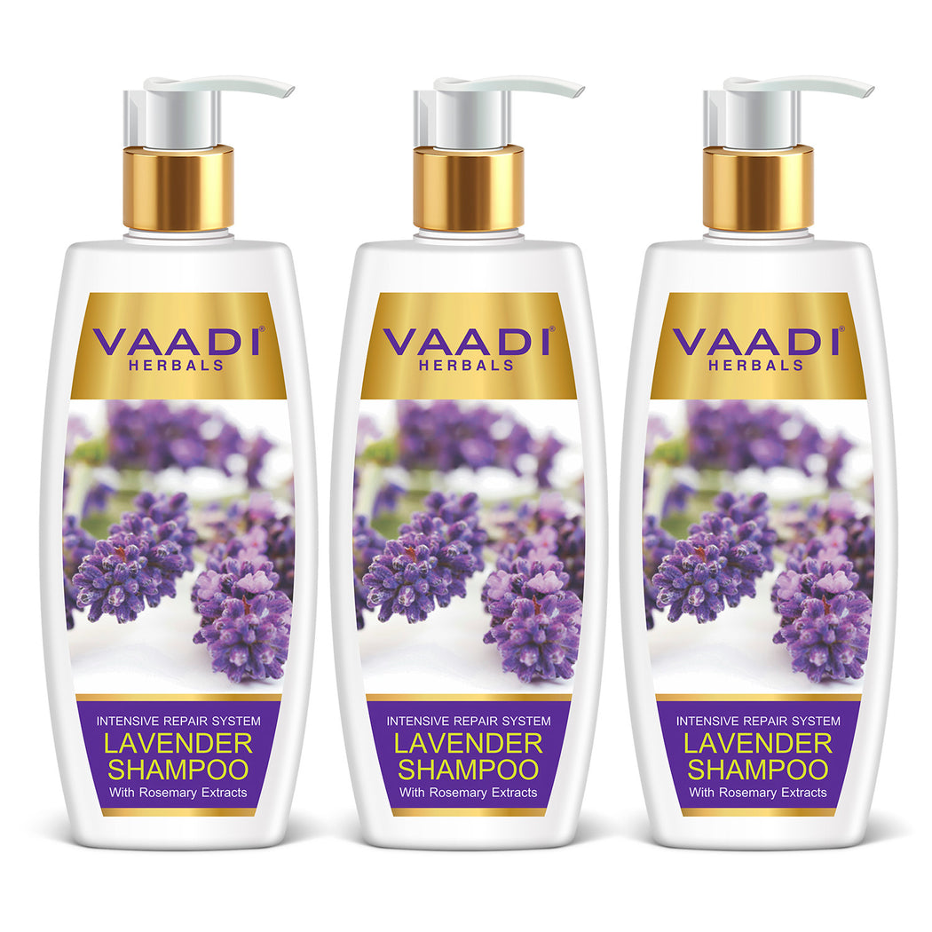 Intensive Repair Organic Lavender Shampoo with Rosemary Extract- Improves Hair Growth - Ultra Nourishing (3 x 350 ml/ 12 fl oz)