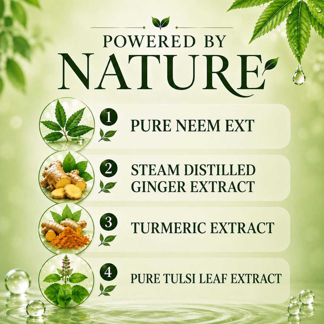 Anti-Bacterial Organic Neem Oil & Ginger Hand Wash (250 ml / 8.5 fl oz )