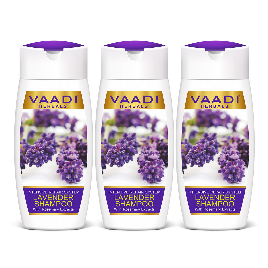 Intensive Repair Organic Lavender Shampoo with Rosemary Extract- Improves Hair Growth - Ultra Nourishing (3 x 110 ml/ 4 fl oz)