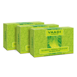 Organic Alluring Neem Tulsi Soap with Aloe Vera, Vitamin ...