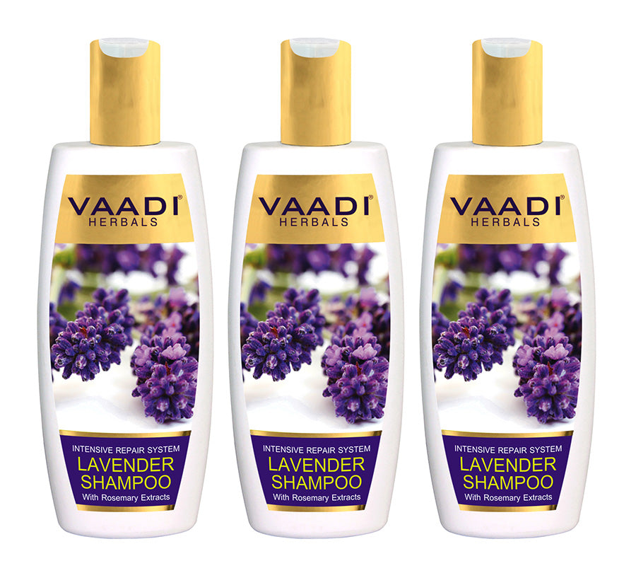 Intensive Repair Organic Lavender Shampoo with Rosemary Extract- Improves Hair Growth - Ultra Nourishing (3 x 350 ml/ 12 fl oz)
